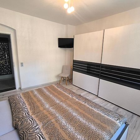 Hochwertige Ferienwohnung/Zentrumsnahe Lage! Райхенбах-ім-Фогтланд Екстер'єр фото