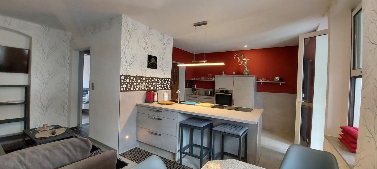 Hochwertige Ferienwohnung/Zentrumsnahe Lage! Райхенбах-ім-Фогтланд Екстер'єр фото